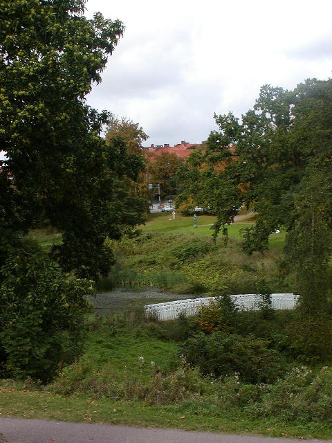 sP1010010.jpg